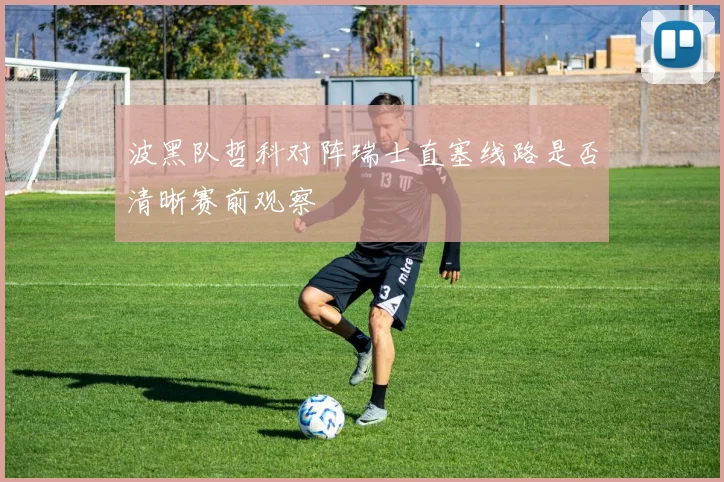 波黑队哲科对阵瑞士直塞线路是否清晰赛前观察