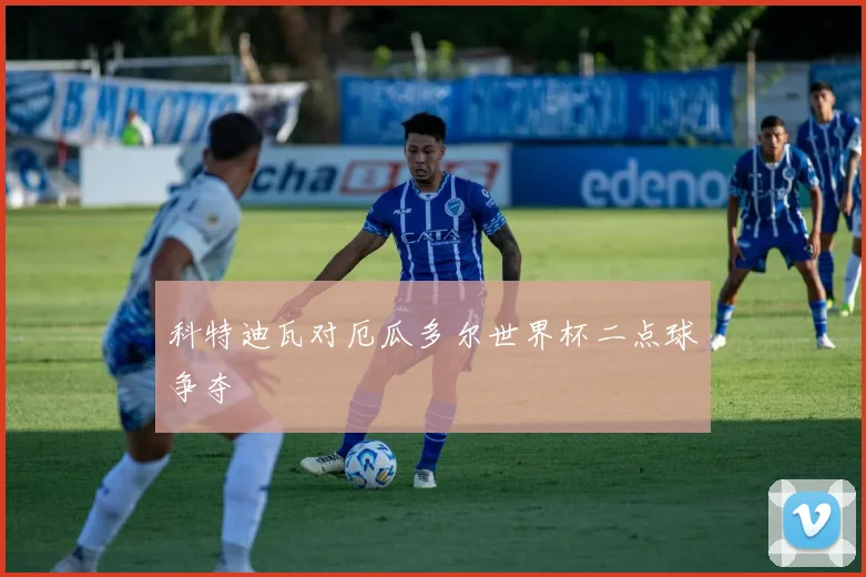 科特迪瓦对厄瓜多尔世界杯二点球争夺