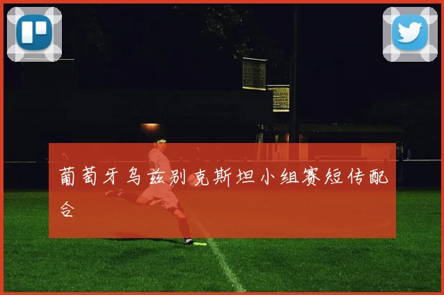 葡萄牙乌兹别克斯坦小组赛短传配合