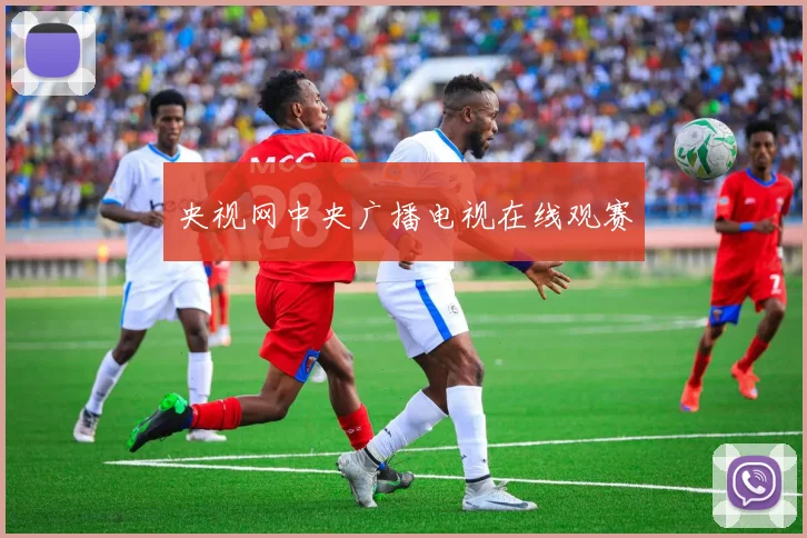 央视网中央广播电视在线观赛