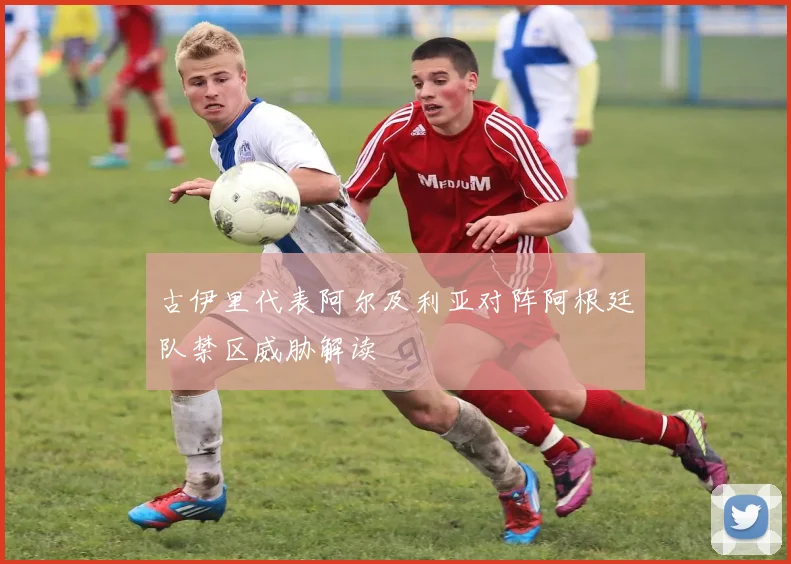 古伊里代表阿尔及利亚对阵阿根廷队禁区威胁解读