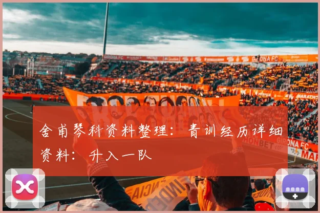 舍甫琴科资料整理：青训经历详细资料：升入一队